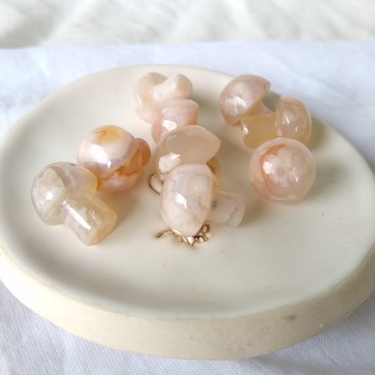 Cherry Blossom Mini Mushroom